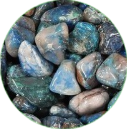 Chrysocolle Chrysocolle